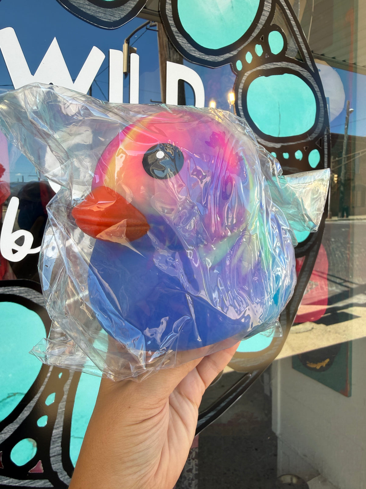 Jumbo Rainbow Duck 🌈