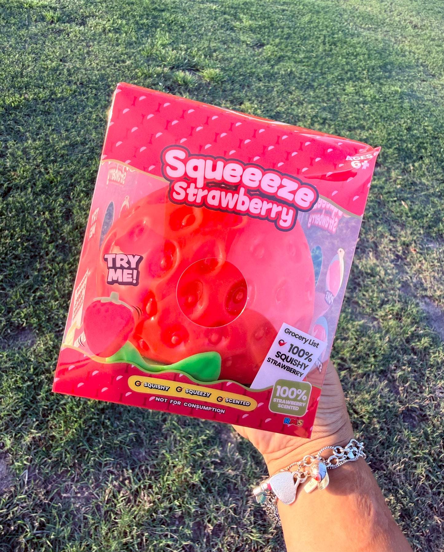 Jumbo Strawberry Squishy