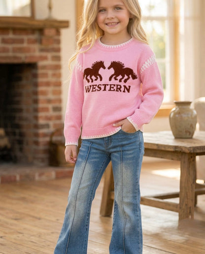 Western Barbie Sweater