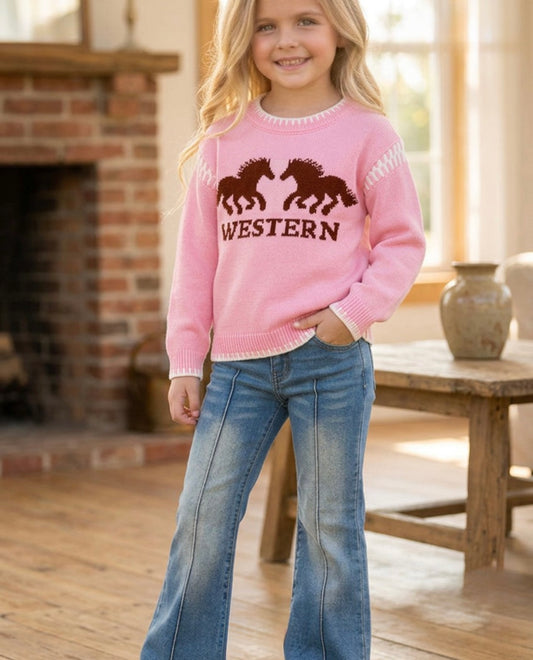 Western Barbie Sweater