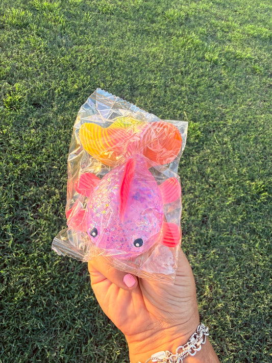 Colorful Fish Squish