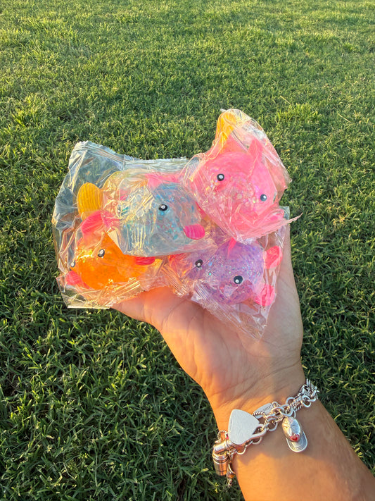 Colorful Fish Squish